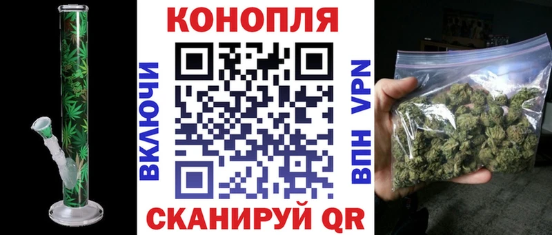 Конопля конопля Бологое
